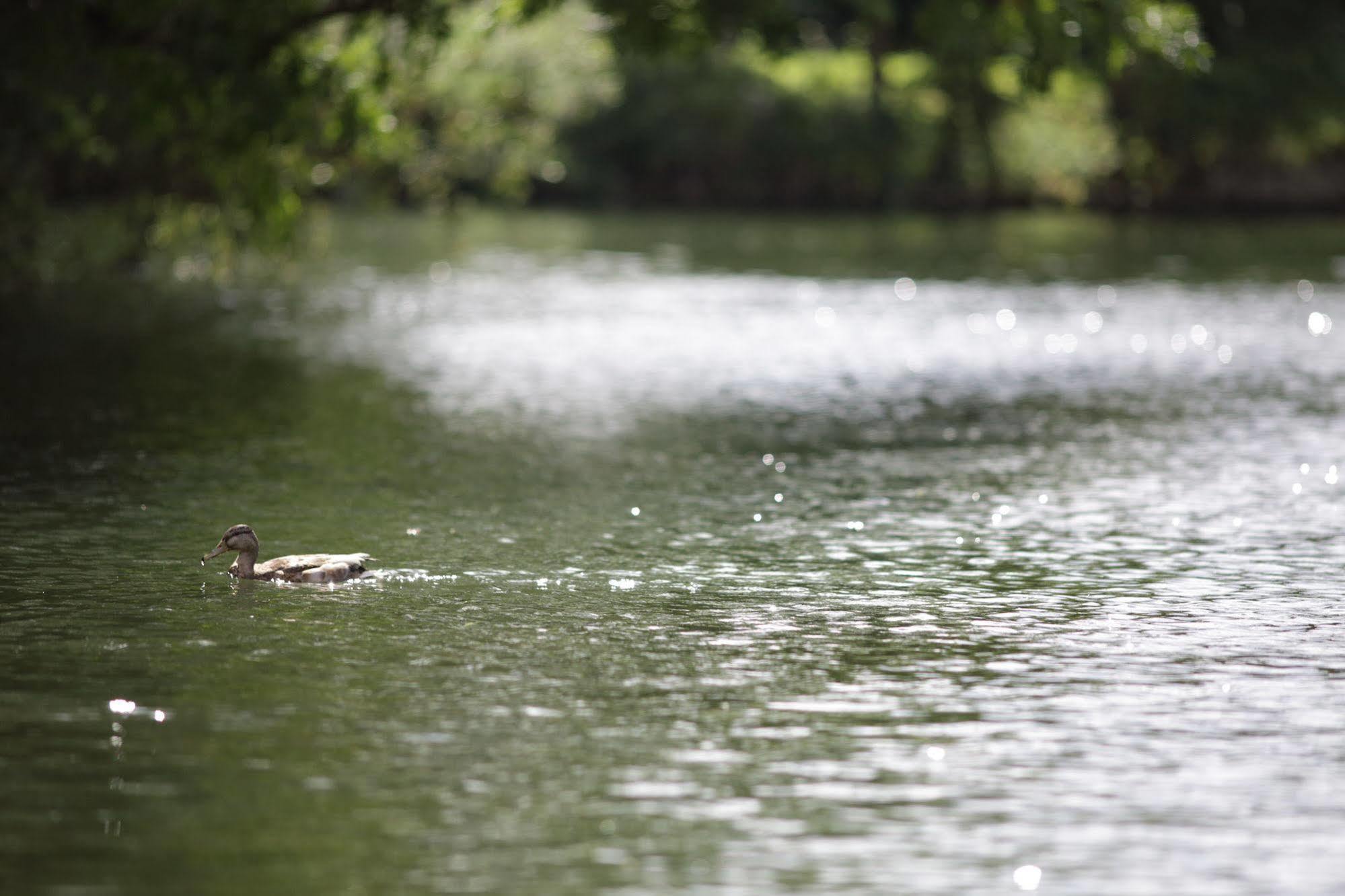 The Runnymede On Thames (Adults Only) Hotel Egham Eksteriør billede